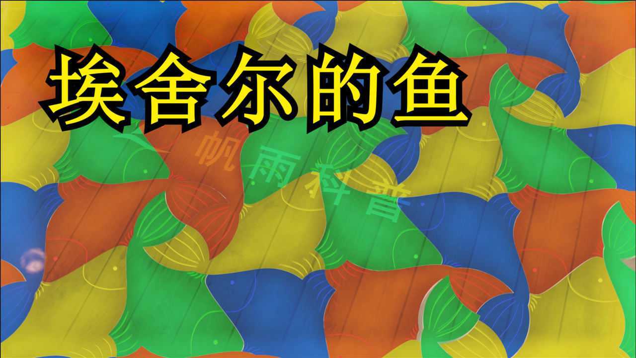 密铺:埃舍尔的鱼_腾讯视频