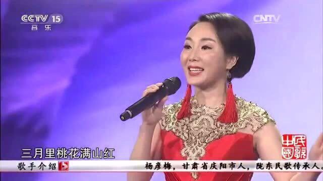 杨彦梅《采花》,陇东民歌,别有韵味!