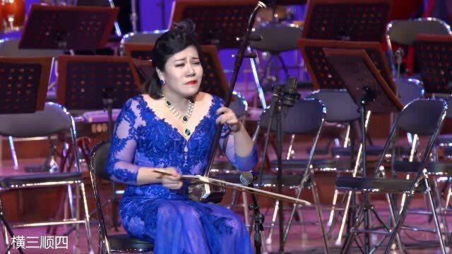 孙凰老师二胡演奏《红梅随想曲》,大师风范