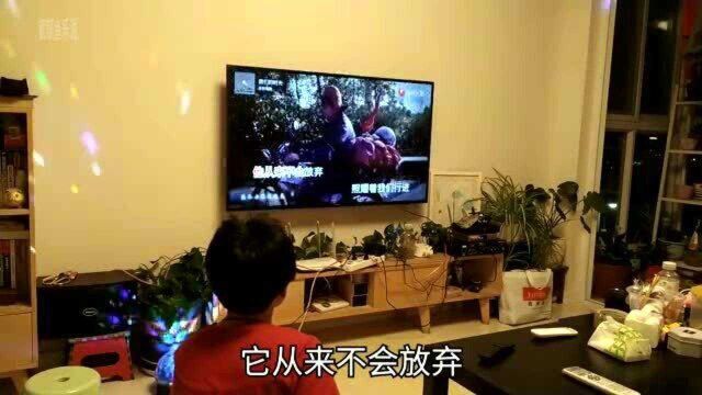 买了一套K歌系统,客厅变包间,看看效果如何?