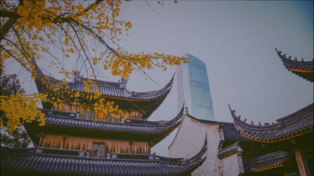 冬日中的宁波七塔寺,记录2020最后一抹金黄色