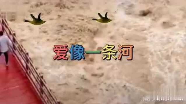 【爱像一条河】 喜马拉雅主播张燕红录制演唱