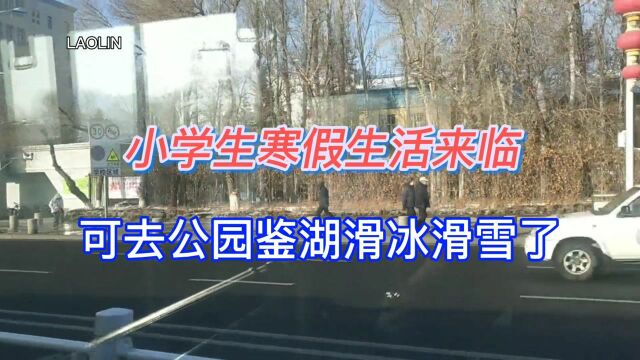 小学生寒假生活来临,可以去公园鉴湖滑雪滑冰了