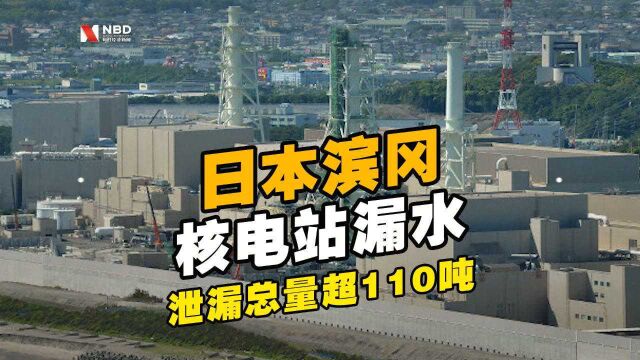 日本滨冈核电站发生漏水事故,泄漏总量超110吨