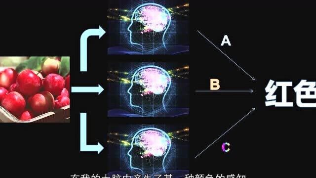 你我眼中的世界也许根本不一样,永远无法解释的颜色谜题