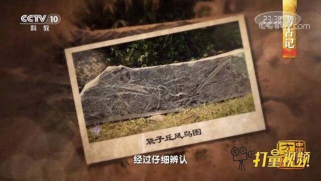 村民意外发现三处摩崖石刻,文字形如天书似图非图