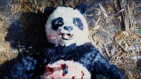 爆笑喜剧：一大群大咖到热带从林拍电影，不小心误杀大熊猫，这下悲剧了