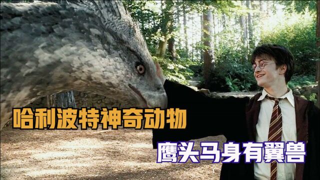 哈利波特神奇动物介绍之 鹰头马身有翼兽