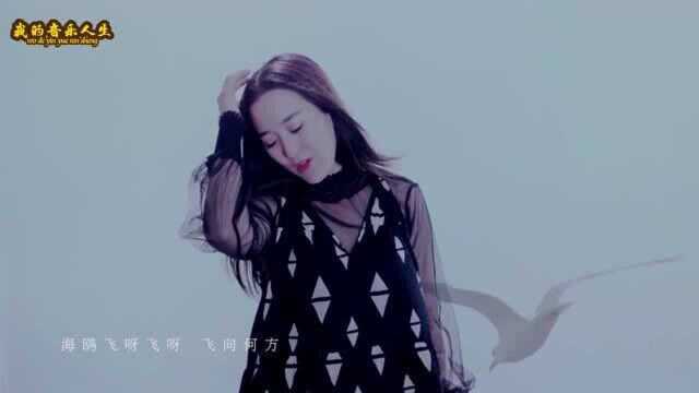 龙梅子又一首好听的歌曲《海鸥飞》