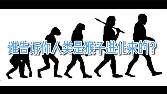 谁告诉你人类是猴子进化来的?