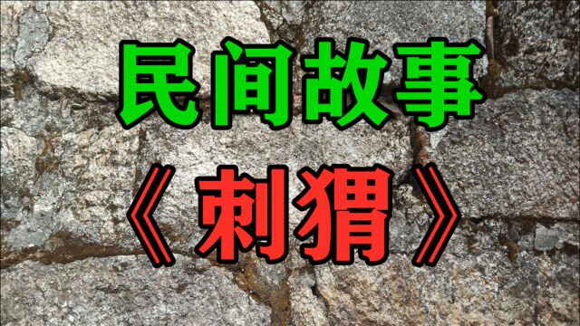 民间故事《刺猬》记得有一次伐木的三叔从林场给我带回来一只刺猬