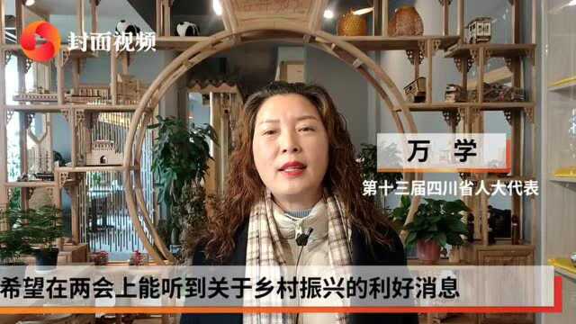 四川省人大代表万学:倾听“手艺人”声音,关注乡村振兴持续发力|代表在这里