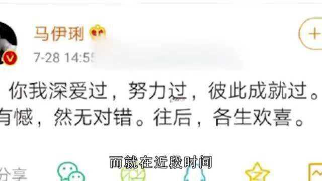 涂磊犀利点评马伊琍文章,内容信息量太大?情感专家有见地