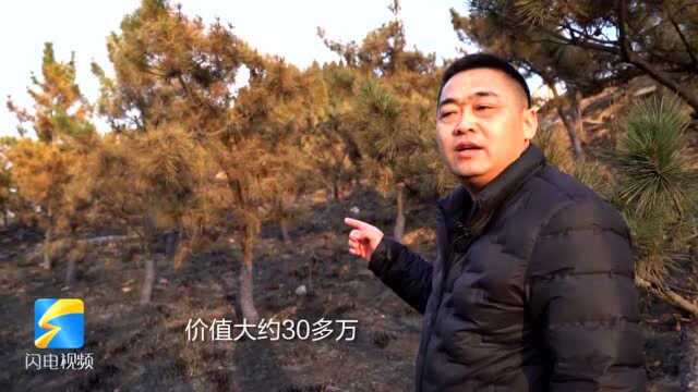 99秒|聊城茌平金牛山遭人半夜“纵火”,两少年被刑事拘留