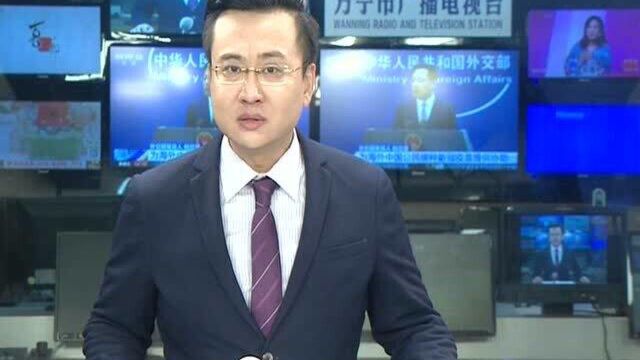 万宁槟榔黄化防控大比武进行中 参赛队伍新增至14支