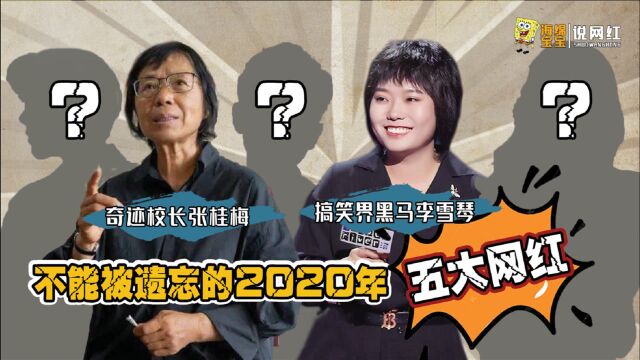 这才是2020该记住的五大网红!他们干的事儿,你一件都做不到