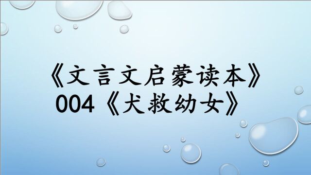 004文言文启蒙阅读《犬救幼女》