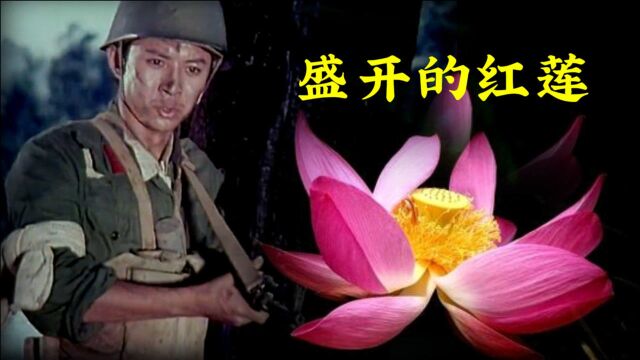 对越反击战红歌经典《盛开的红莲》晓月演唱,深情感人,太好听了