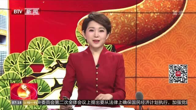 企业迎新活动精彩纷呈 留京过年年味十足