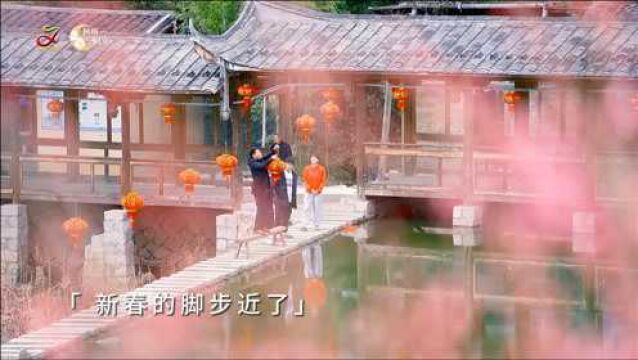 【网络中国节】屏南芳院:梅花点点闹新春