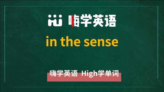 in the sense是什么意思、怎么翻译