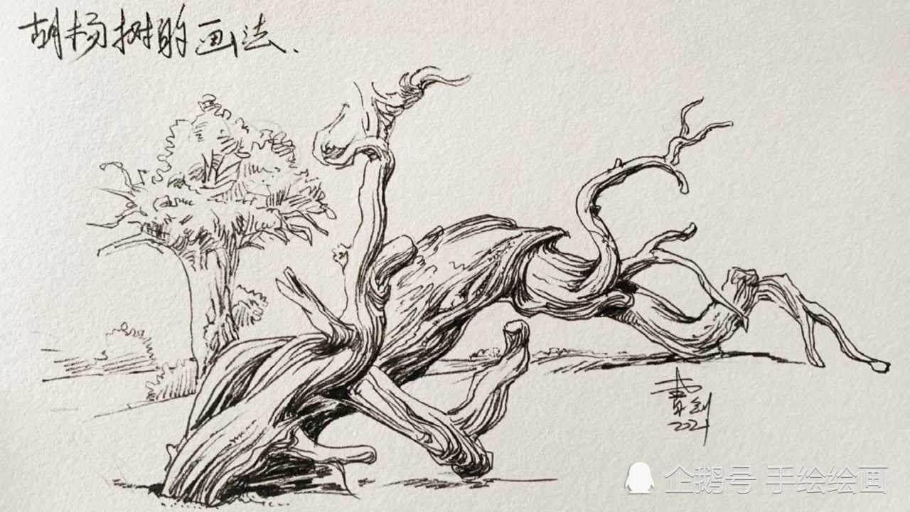 胡杨树怎么画?钢笔速写入门,风景元素练习