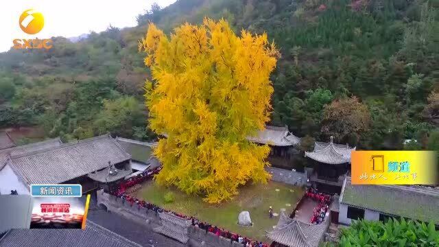 古观音禅寺恢复开放入寺前需预约 每日限流500名并分时段动态调控