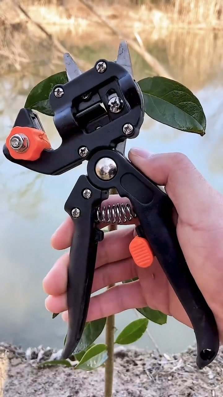 多功能果树钳,用来嫁接果树真的很方便!