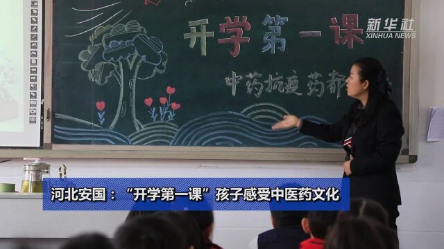 河北安国:“开学第一课”孩子感受中医药文化