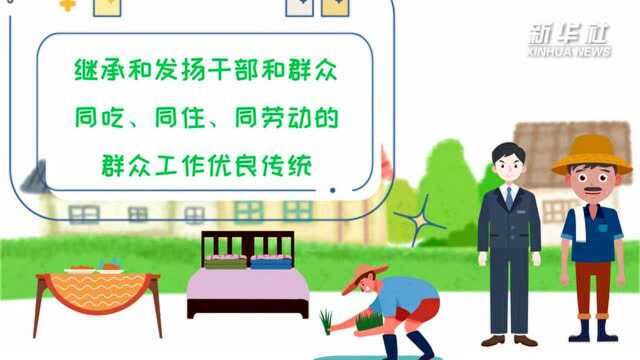 秒懂中国减贫学|名词解释(七):驻村工作队