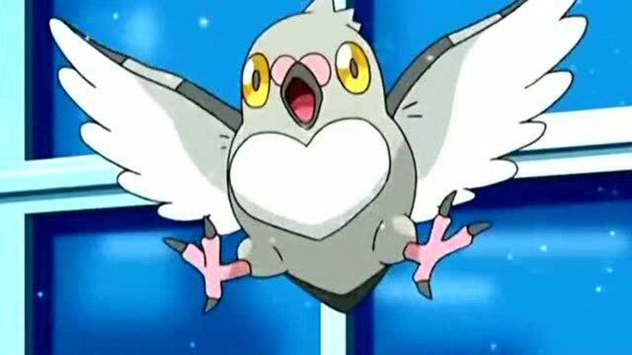 神奇宝贝:小智的豆豆鸽进化了,小智一旁喜得不行_腾讯视频