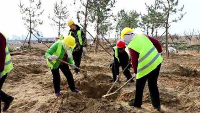 潍坊滨海区弥河生态绿廊综合治理工程加速推进