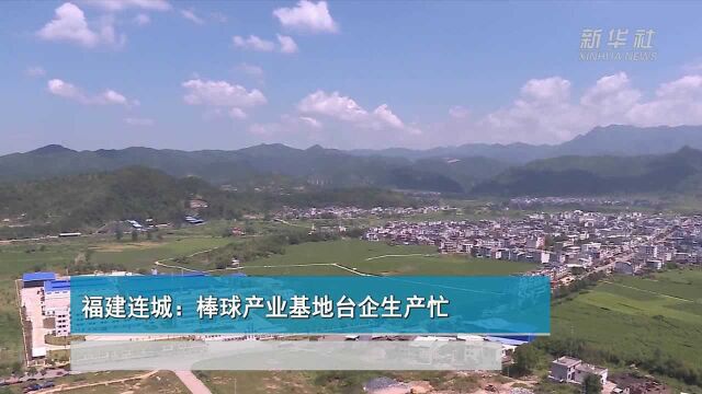 福建连城:棒球产业基地台企生产忙