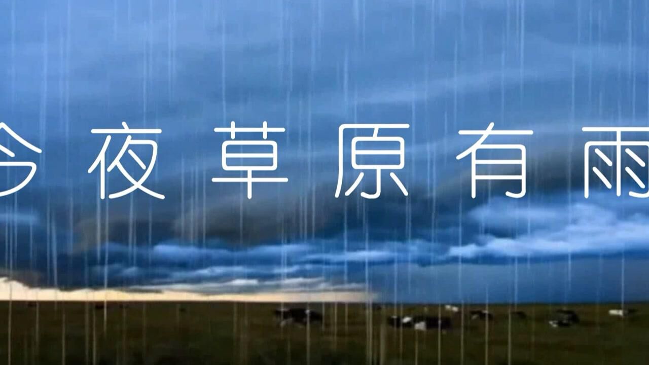 《今夜草原有雨》 朱宝华 葫芦丝 演奏