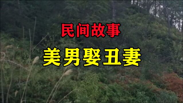 民间故事《美男娶丑妻》赵岩长得一表人才