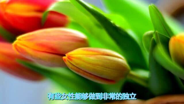 这几大生肖女是女强人,定能财富不断娶到就是福气