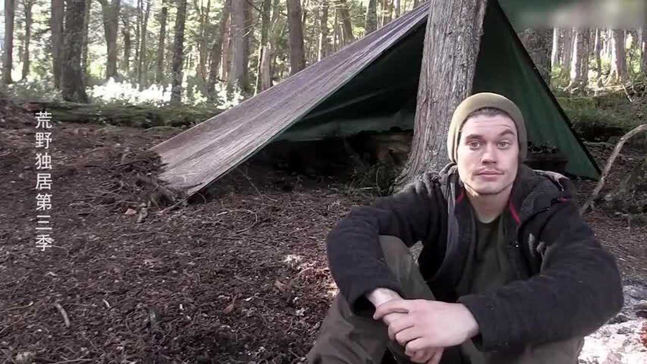 荒野独居老外搬运竹子濒临崩溃中国人竹子不是这样搬的