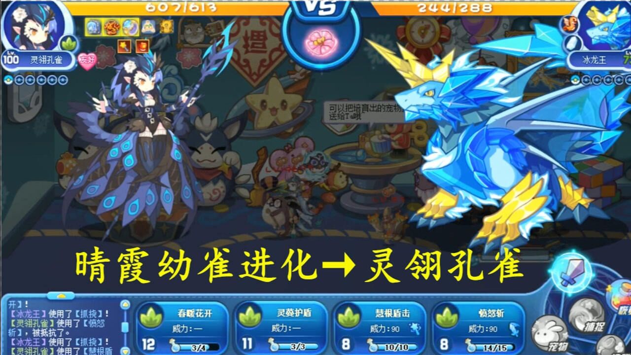 洛克王国:极品小孔雀超进化,灵翎孔雀成功到手,希望孔雀女王能强一点