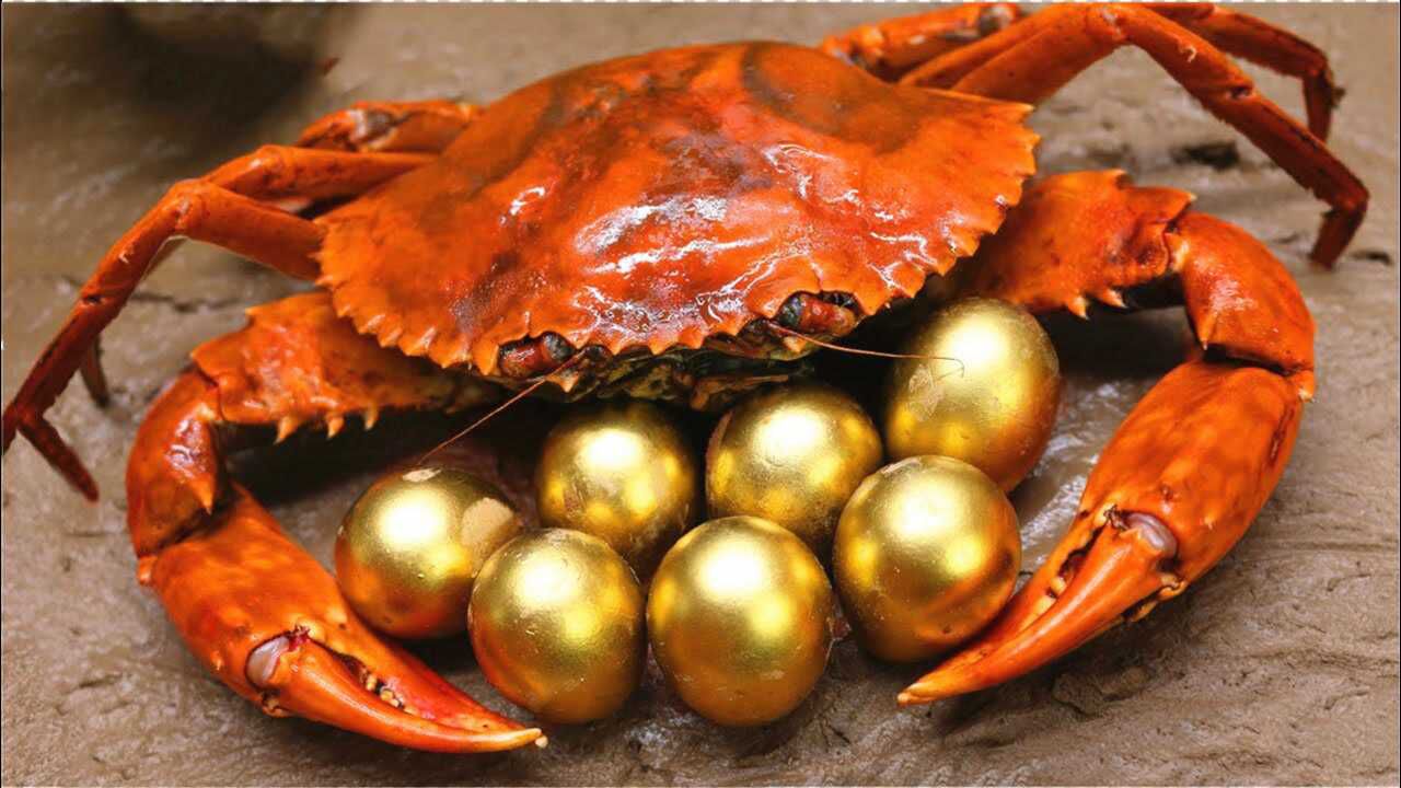 河边出现一只变色大螃蟹,张嘴就吐出"金蛋",画面太奇妙!