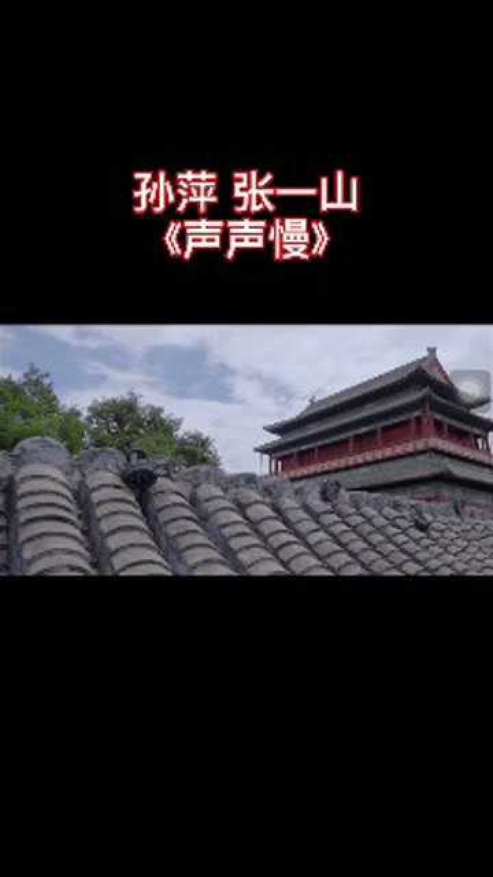 张一山声声慢完整版