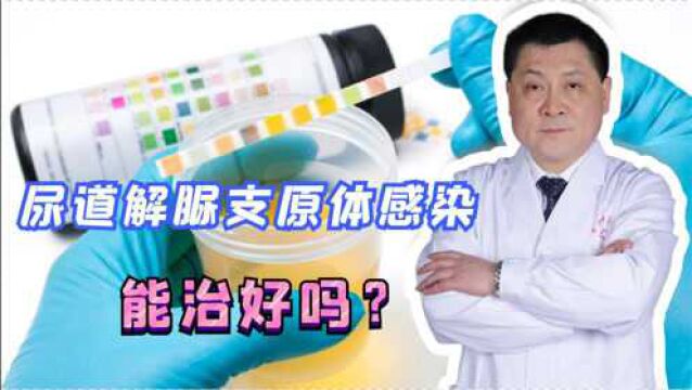 尿道解脲支原体感染能治好吗?医生总结出这几点,劝你了解下