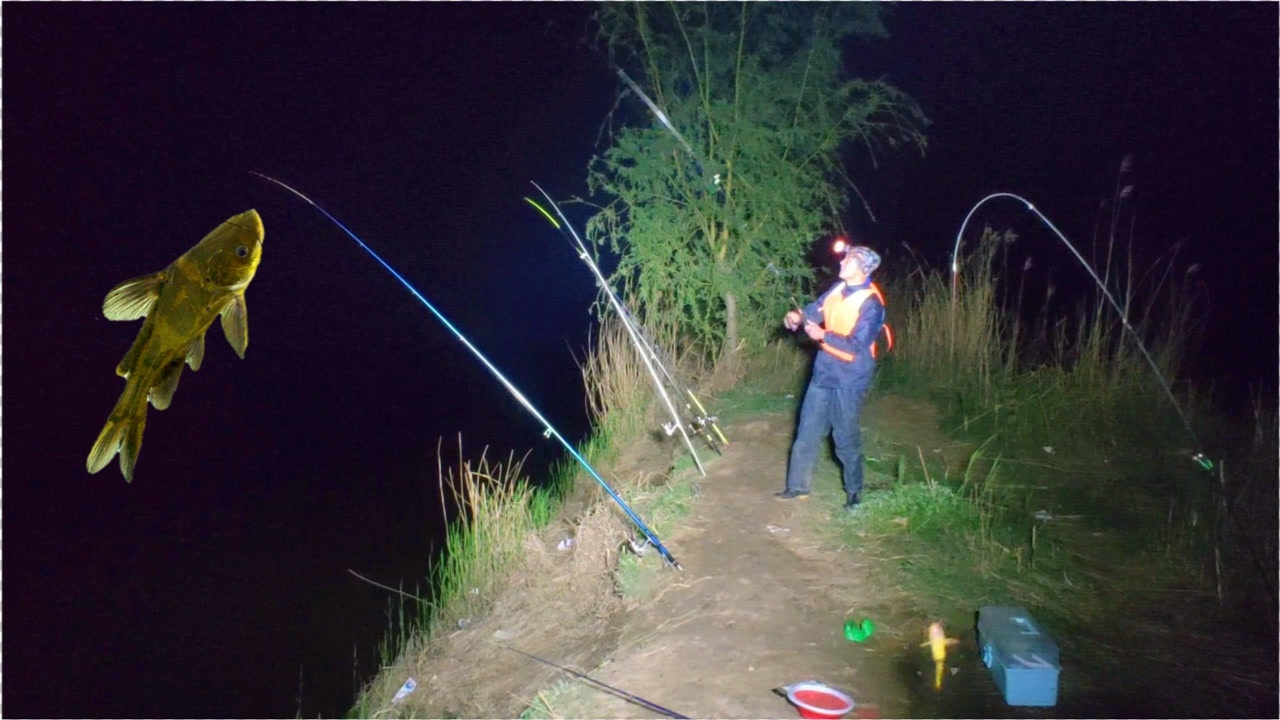 小伙矶竿夜钓黄辣丁,一条接一条的上鱼,隔壁钓友都眼红了_腾讯视频