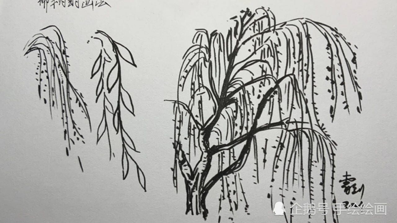 柳树怎么画?钢笔速写入门必备,风景画技法学习_腾讯视频