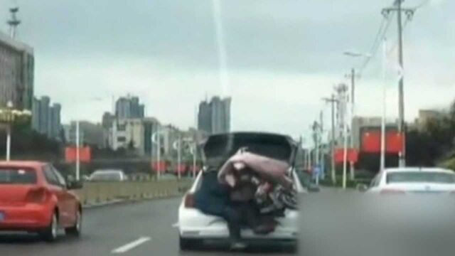 轿车后备箱坐着人手里还拽着电动车 背后原因令人无语