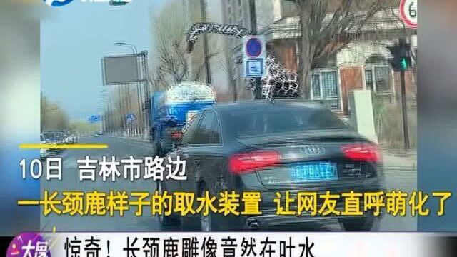 吉林市:惊奇!长颈鹿雕像竟然在吐水