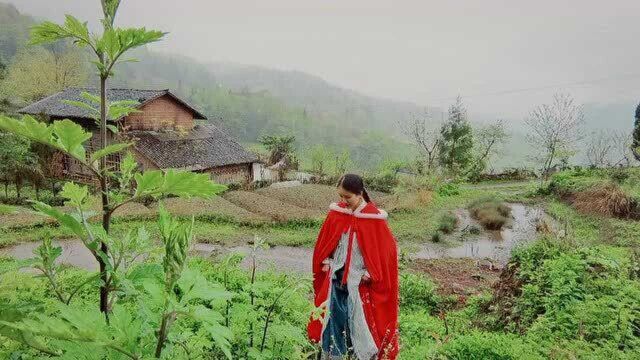 重庆南川把茶山种成金山,穿一袭古装,在古民居中拍一组属于自己的照片