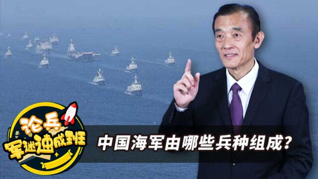 论兵ⷥ†›迷速成班:中国海军由哪些兵种组成?