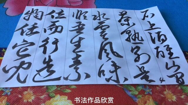 草书书法作品欣赏,请大家一起交流学习