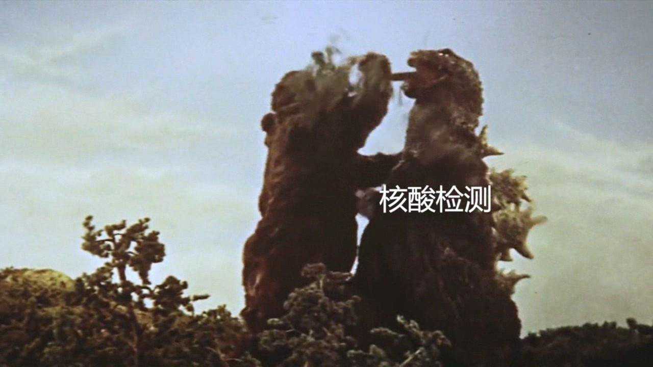 哥斯拉大战金刚金刚:来大哥给你做个核酸检测#金刚_腾讯视频