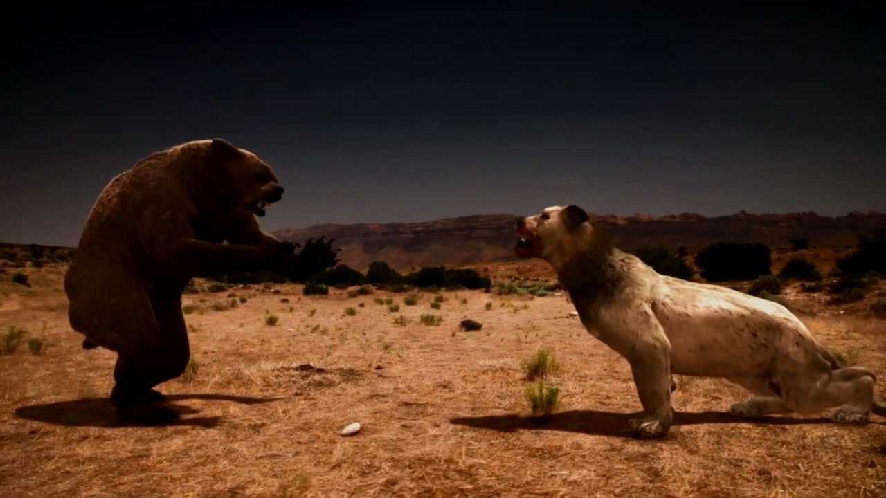 冰期末期的短面熊和美洲拟狮孰强孰弱食肉者间的竞争有多残酷